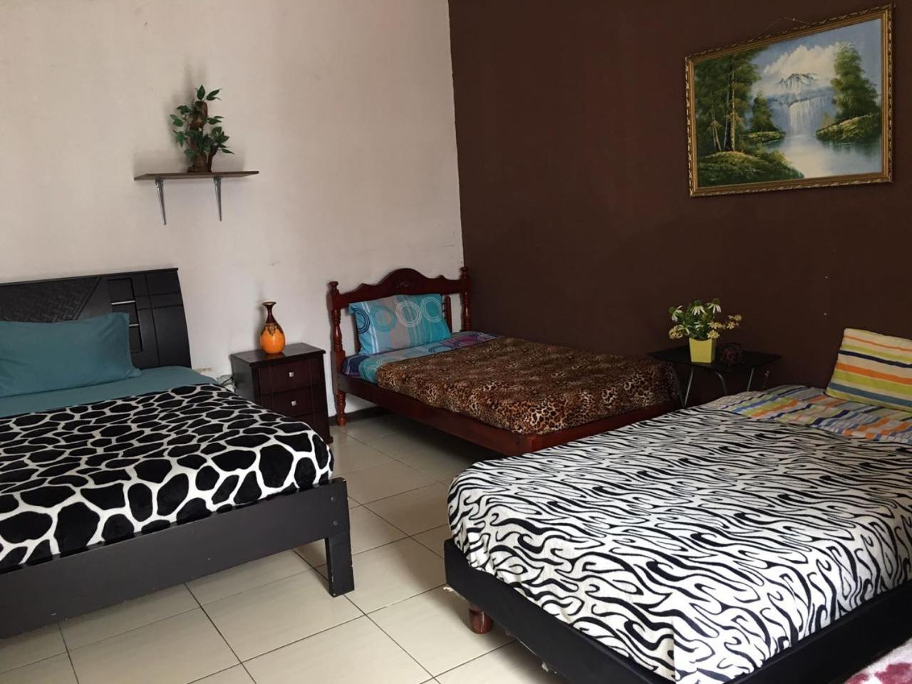 The Backpacker Hostal Ibarra Luaran gambar