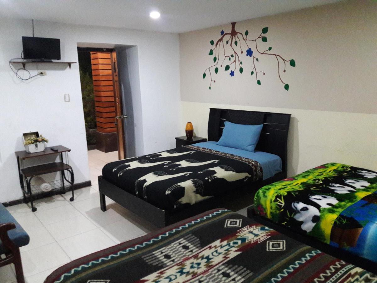 The Backpacker Hostal Ibarra Luaran gambar